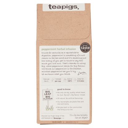 Teapigs Peppermint Leaves Tea Temples 15 x 2g (30g) - UK Food & Drink - 5060136750144