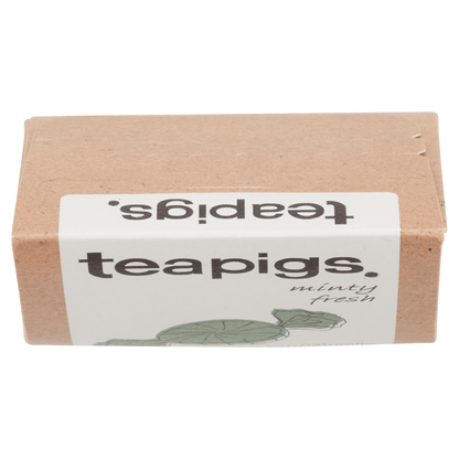 Teapigs Peppermint Leaves Tea Temples 15 x 2g (30g) - UK Food & Drink - 5060136750144