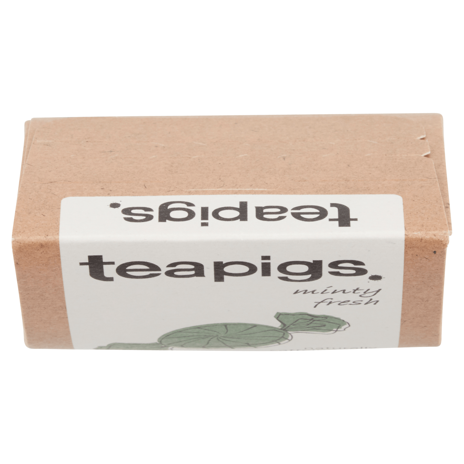 Teapigs Peppermint Leaves Tea Temples 15 x 2g (30g) - UK Food & Drink - 5060136750144