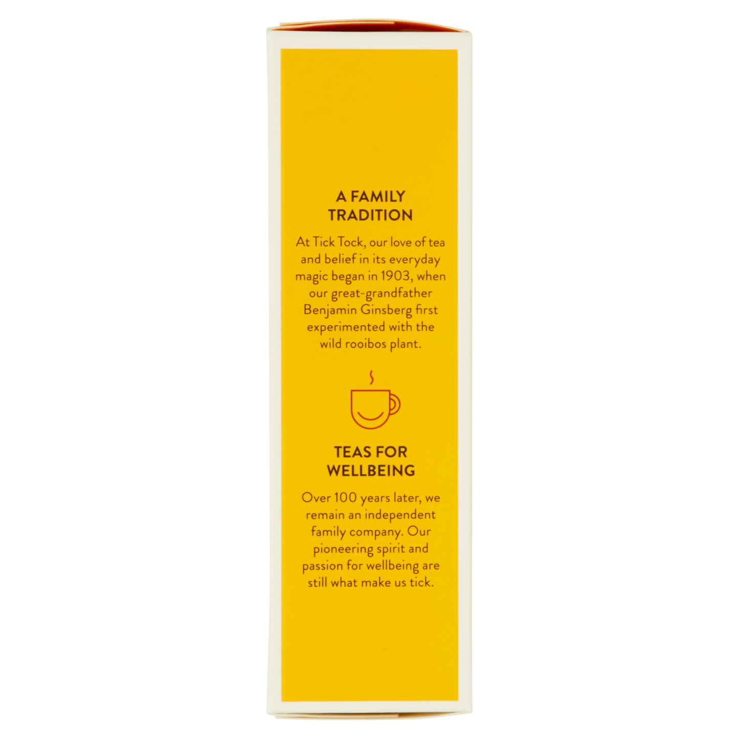 Tick Tock Ginger Boost 20 Biodegradables Bags 36g - UK Food & Drink - 5032558000374