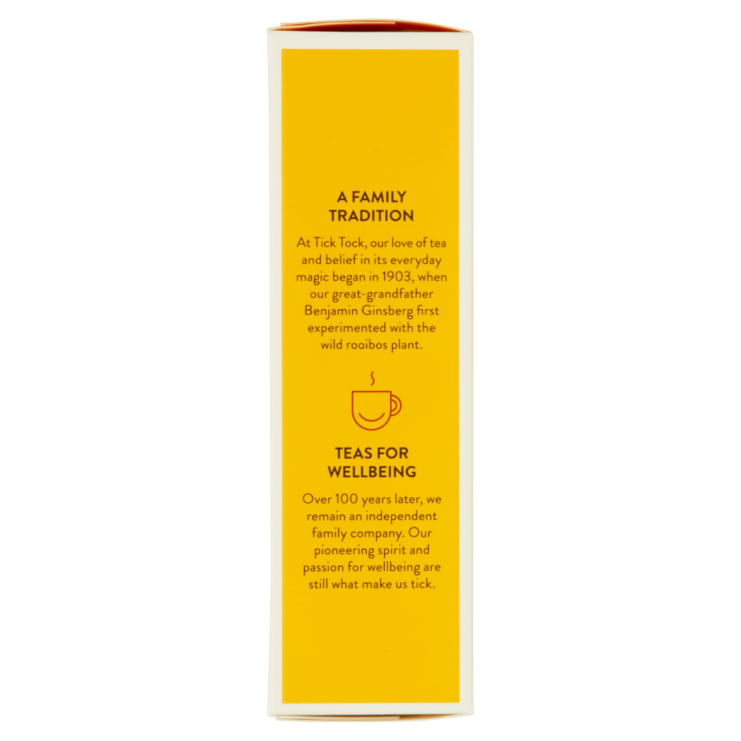 Tick Tock Ginger Boost 20 Biodegradables Bags 36g - UK Food & Drink - 5032558000374