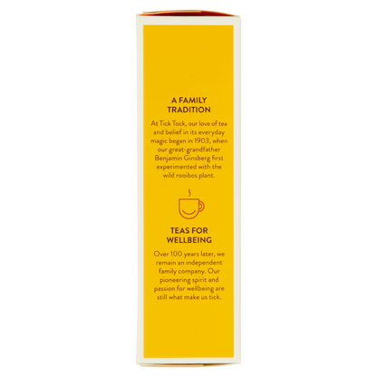 Tick Tock Ginger Boost 20 Biodegradables Bags 36g - UK Food & Drink - 5032558000374