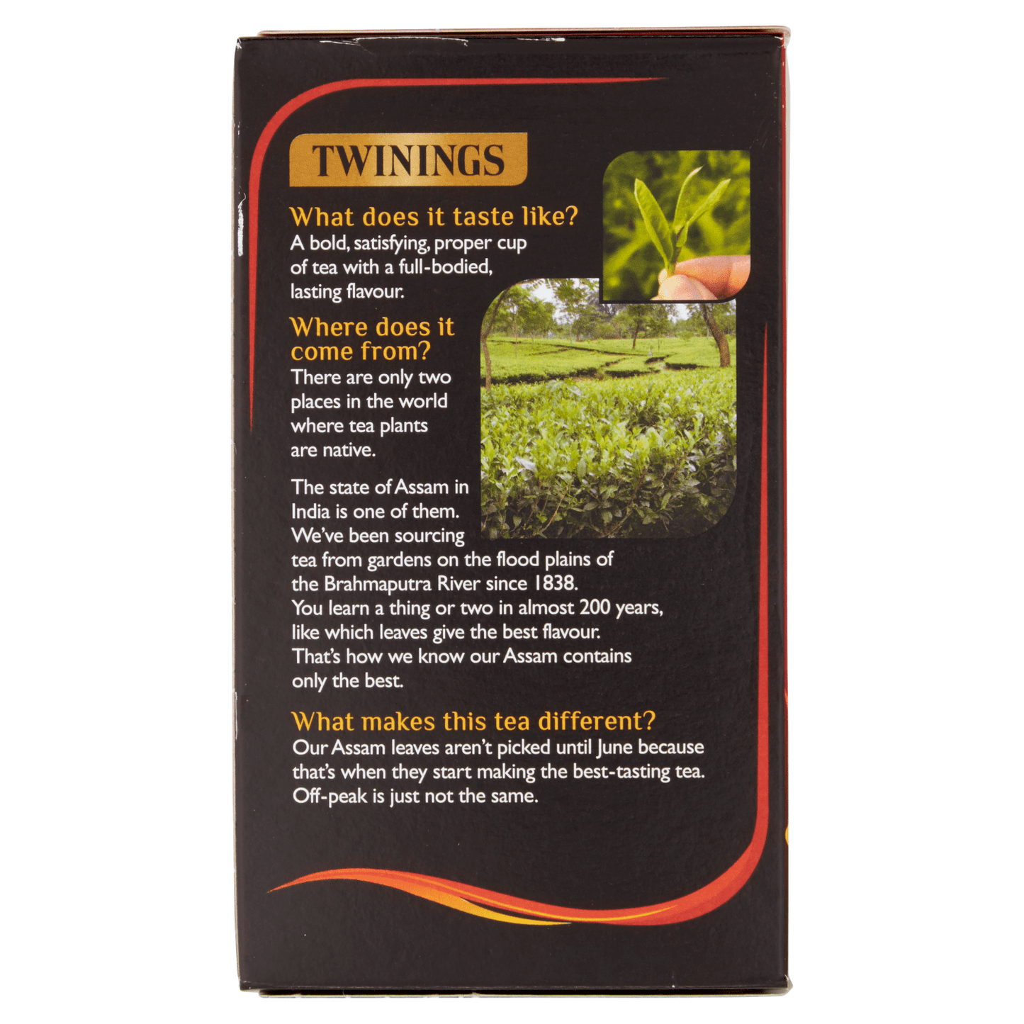 Twinings Assam Loose Tea 125g - UK Food & Drink - 70177010119
