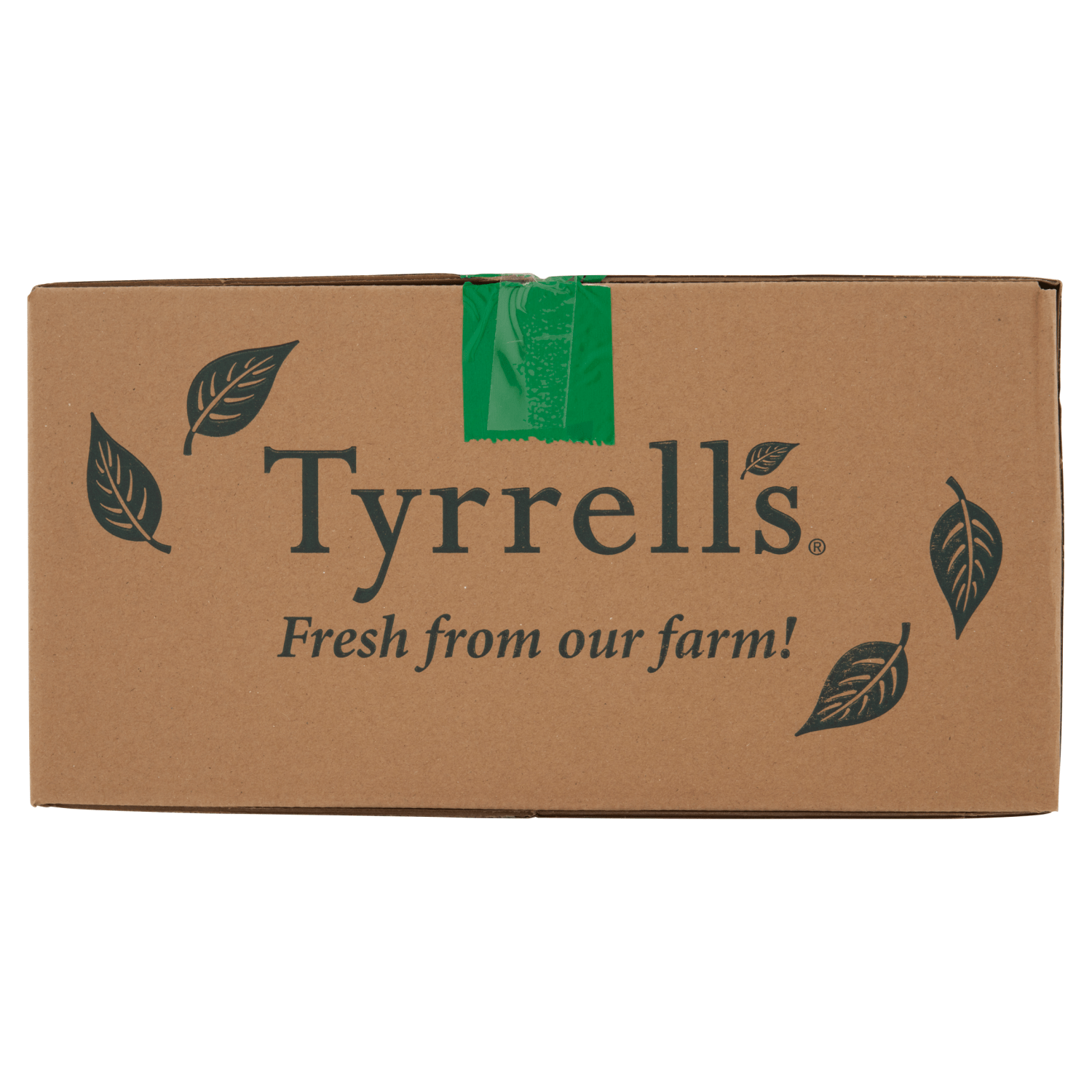 Tyrrells Sea Salt & Cider Vinegar 40g - UK Food & Drink - 5060042640690