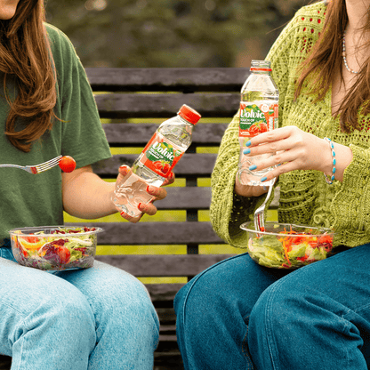 Volvic Touch of Watermelon 500ml - UK Food & Drink - 3057640493218