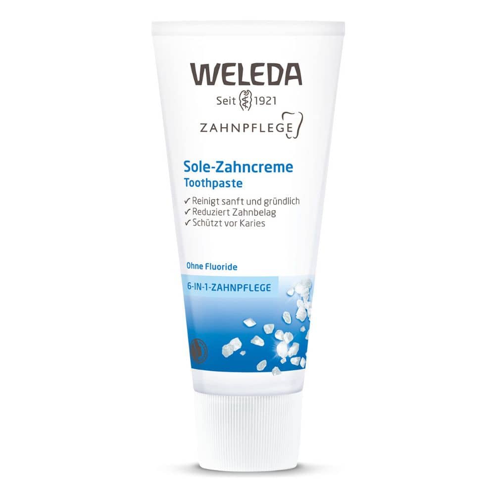 Weleda Salt Toothpaste - UK Food & Drink - 4001638098090