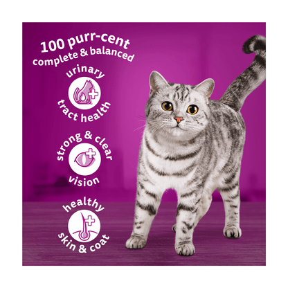 Whiskas 1+ Chicken Adult Dry Cat Food¬†300g - UK Food & Drink - 5900951305597