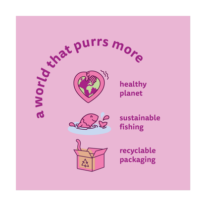 Whiskas 1+ Tuna Adult Dry Cat Food¬†300g - UK Food & Drink - 5900951305672