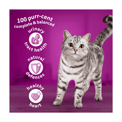 Whiskas 7+ Chicken Adult Dry Cat Food 800g - UK Food & Drink - 5900951305573