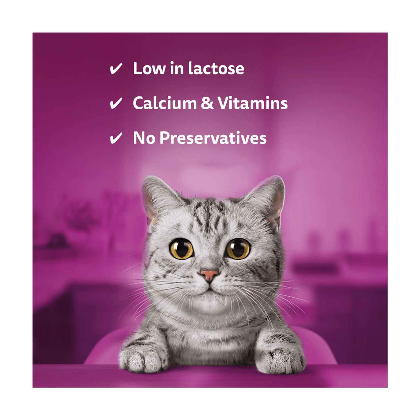 Whiskas Kitten Cat Milk Bottle 200ml - UK Food & Drink - 50045426