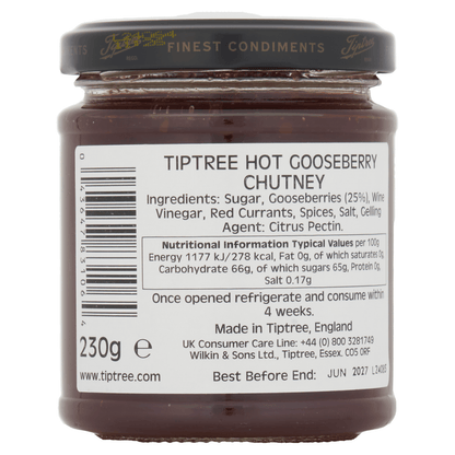 Wilkin & Sons Ltd Tiptree Hot Gooseberry Chutney 230g - UK Food & Drink - 43647831064