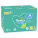 Pampers Baby Wipes 12x52s Scented - Intamarque - Wholesale 8001841078441